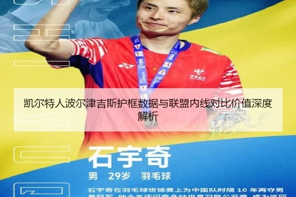凯尔特人波尔津吉斯护框数据与联盟内线对比价值深度解析